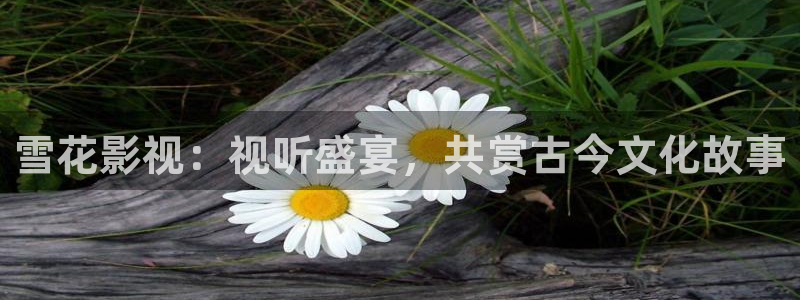 好看影院在線觀看：雪花影視：視聽盛宴，共賞古今文化故事