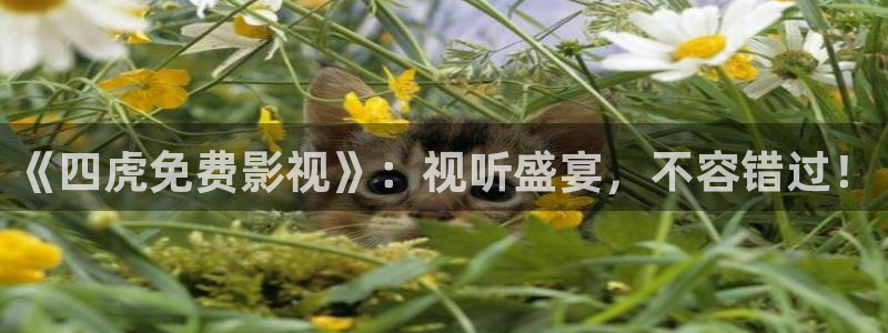 好好看影院：《四虎免費影視》：視聽盛宴，不容錯過！